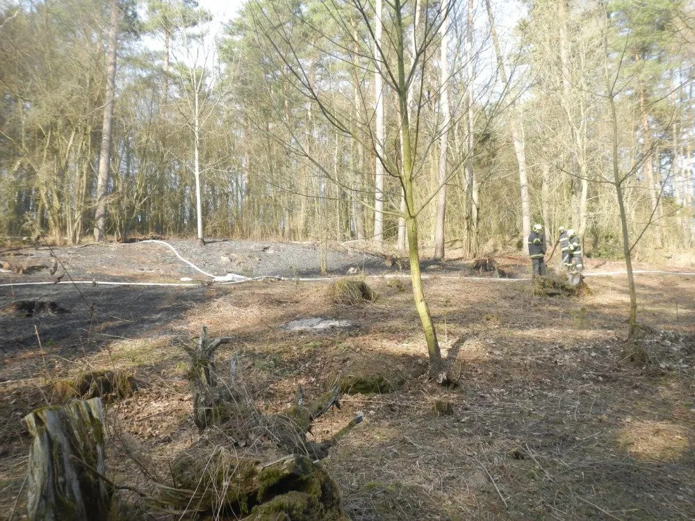 Přibývá požárů v přírodním prostředí, duben je extrémní