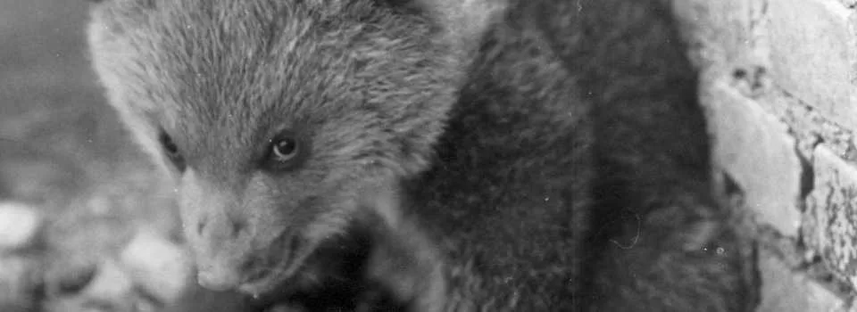 Hlubocká zoo slaví výročí. Její zakladatel přicestuje z minulosti
