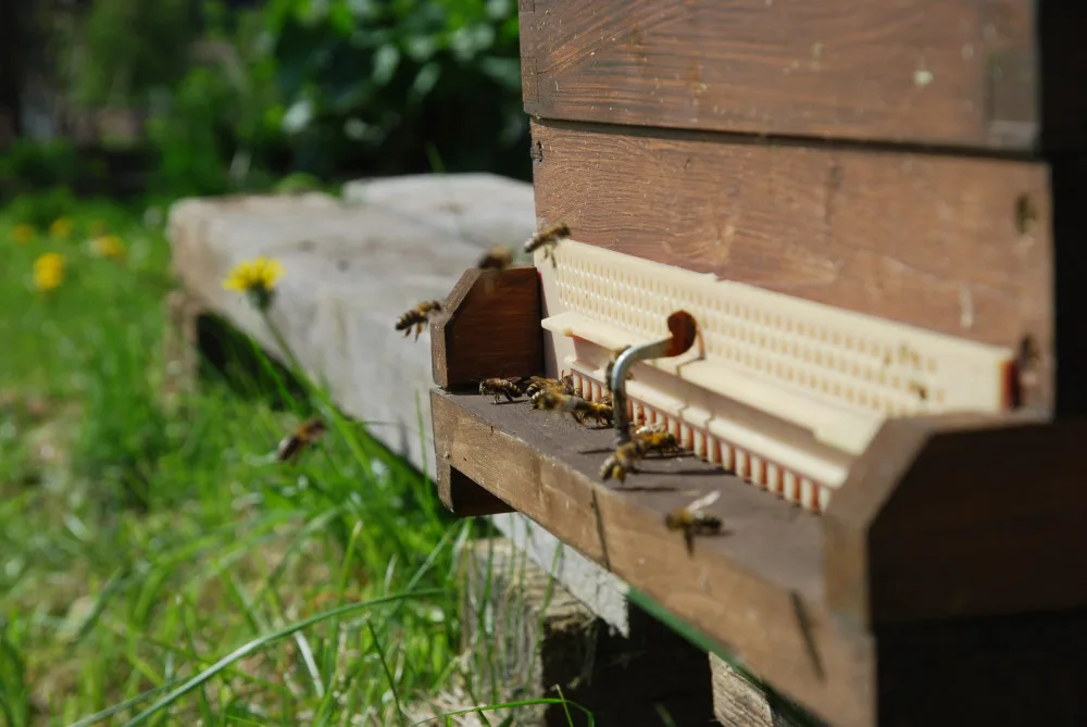 V Horním Rakousku se otevírá zemská zahradní výstava Bio.Garten.Eden Aigen-Schlägl