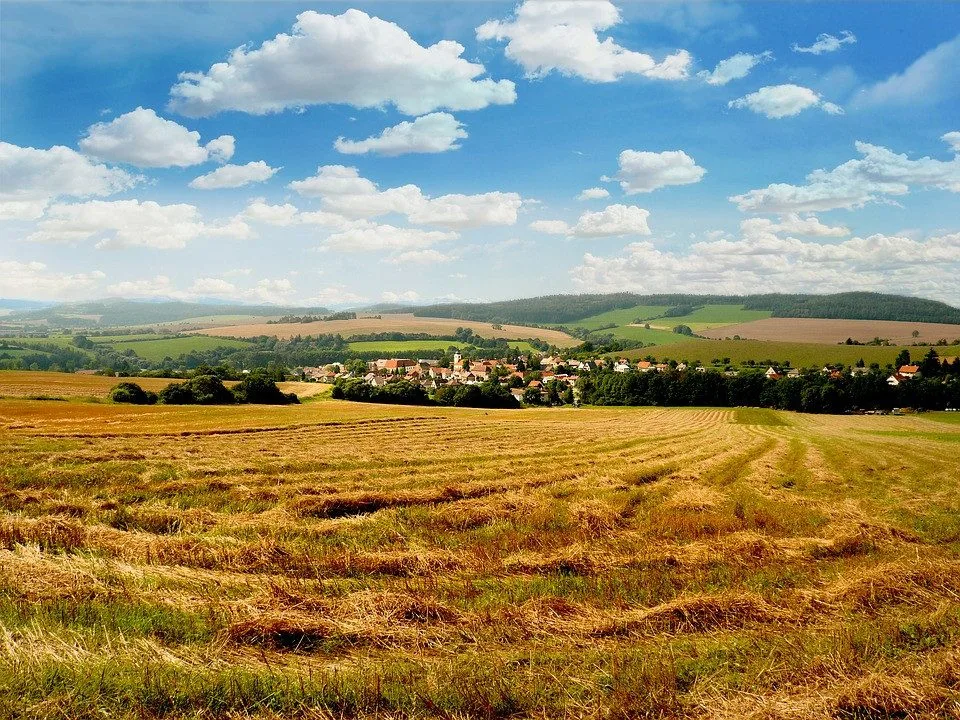 Ilustrační foto
