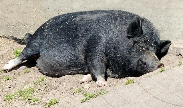 Ilustrační foto