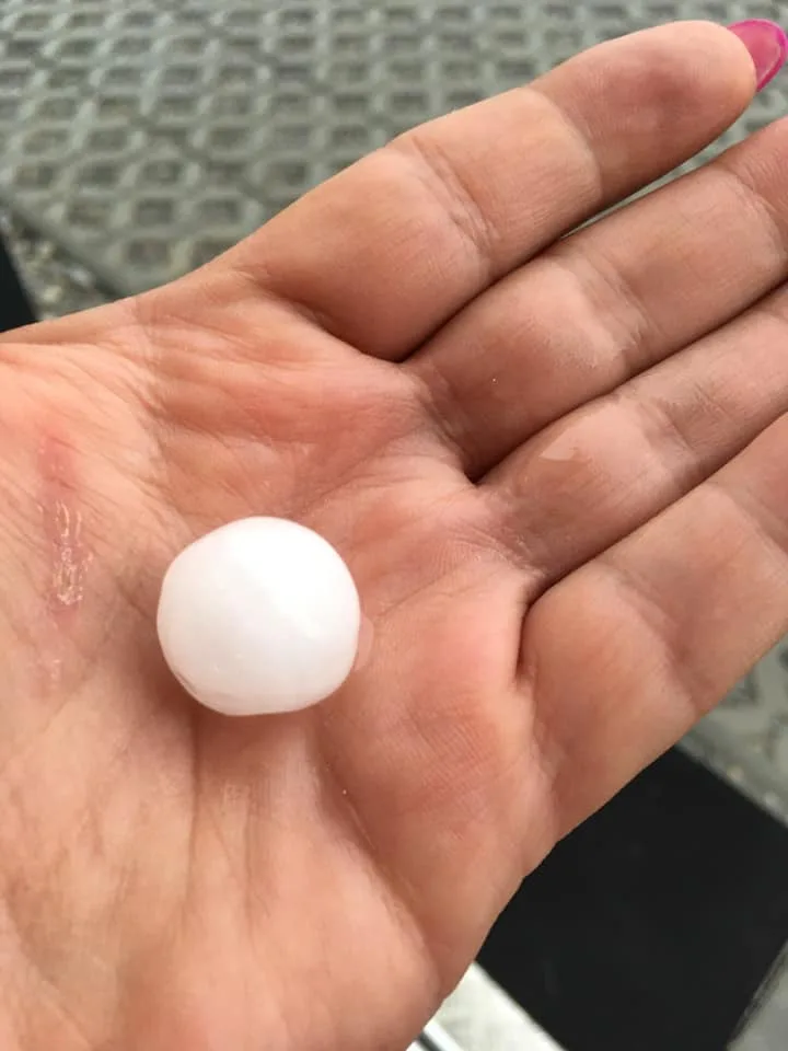 Foto od čtenářů Budějcké Drbny