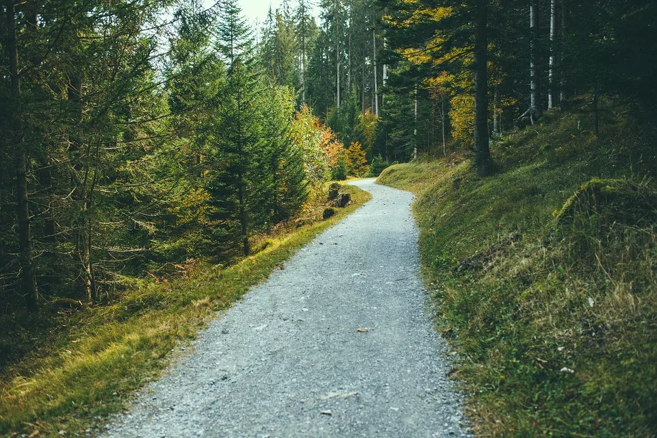 ilustrační foto