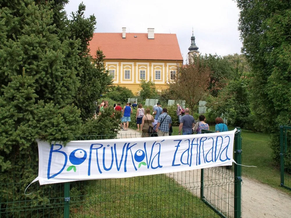 Borůvková zahrada