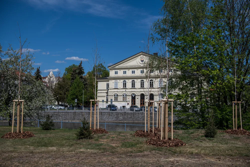 Údržba zeleně stála letos město přes 30 milionů korun.