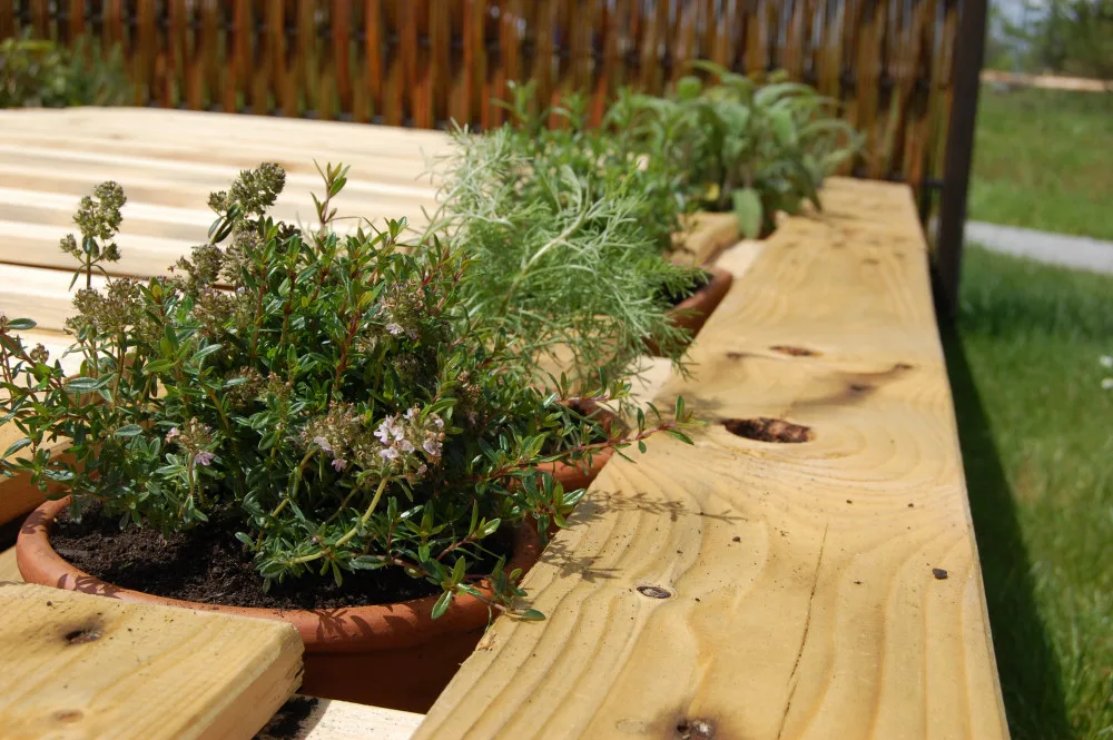 Krásná hornorakouskou výstavu Bio.Garten.Eden se vyplatí navštívit i víckrát. Květiny se obměňují dle sezóny