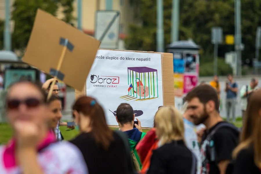 FOTO, VIDEO: Kočka, pes i kráva, mají svoje práva! Volali lidé v rámci pochodu za práva zvířat
