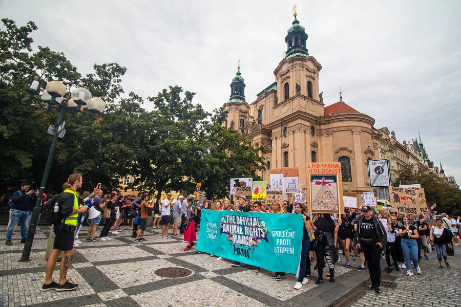 FOTO, VIDEO: Kočka, pes i kráva, mají svoje práva! Volali lidé v rámci pochodu za práva zvířat