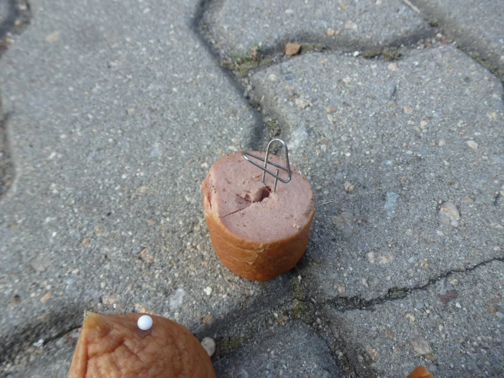Policisté z Budějc řeší v těchto dnech případy pohozených návnad v parcích v krajském městě. Zatím neznámý pachatel či pachatelé na dvou místech pohodili uzeniny, kdy byly uvnitř napíchané špendlíky a kancelářské sponky.
