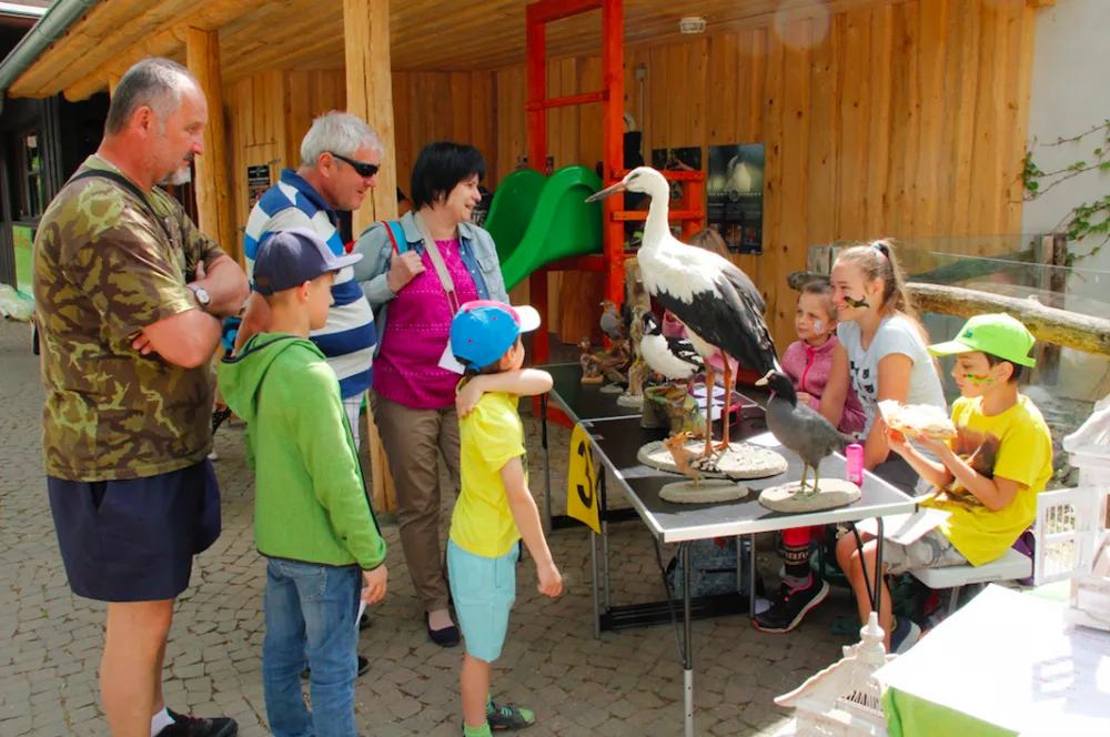 Zoo Hluboká oslaví Den zvířat, hlavním tématem bude ptactvo