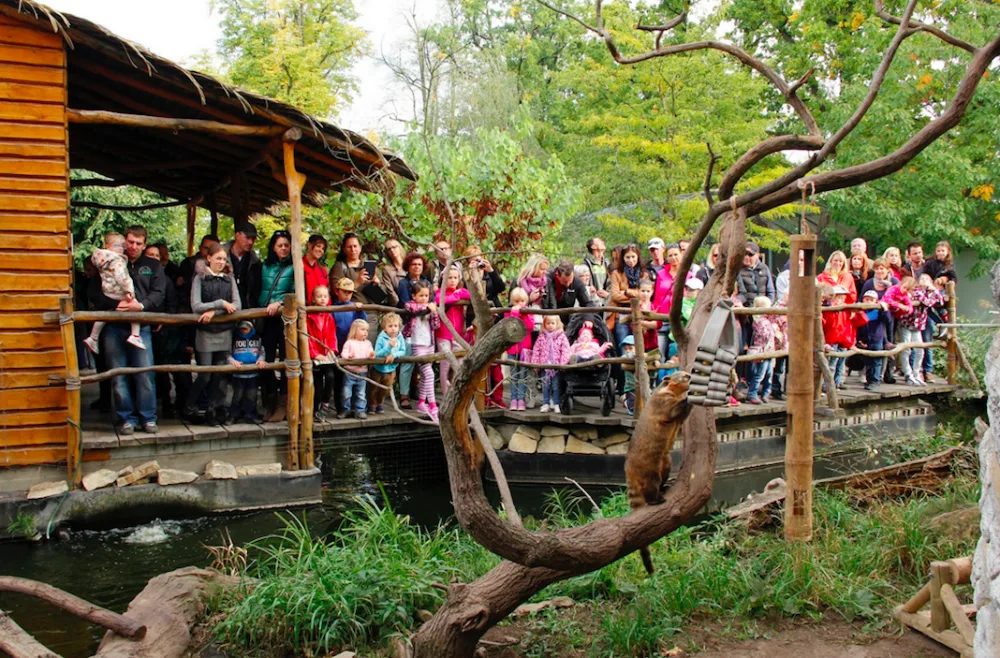 Zoo Hluboká oslaví Den zvířat, hlavním tématem bude ptactvo
