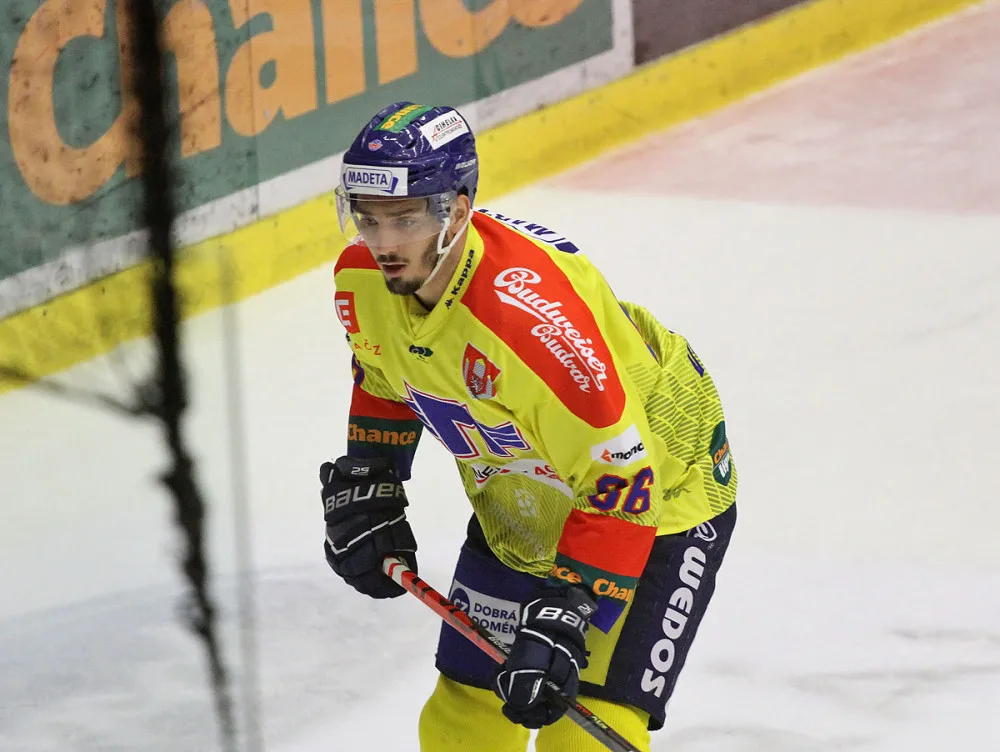 Jan Veselý
