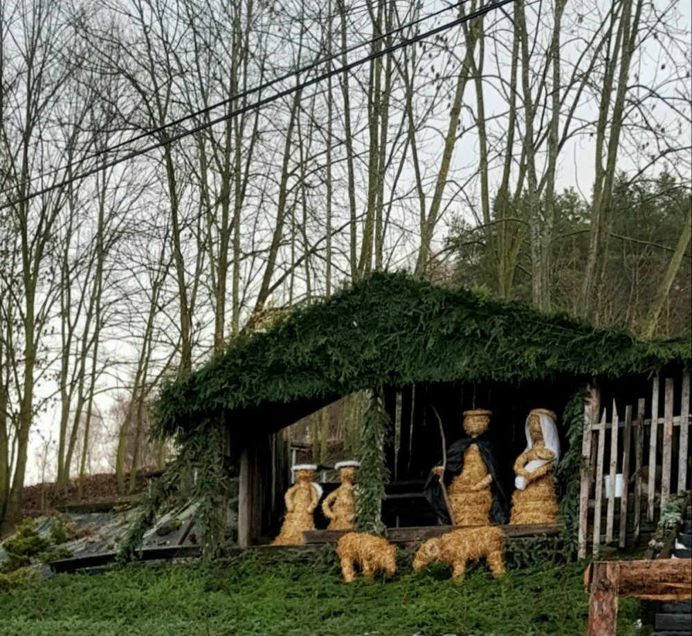 Advent začíná již tuto sobotu v Zahradnictví Střítež Boškovi