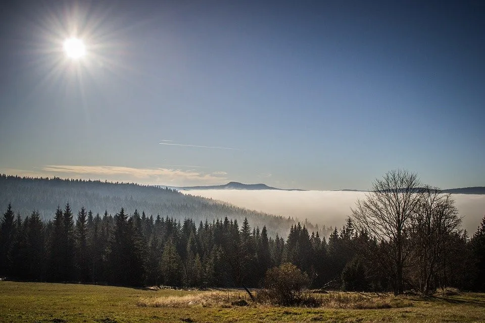 Soud odmítl žalobu Jihočeského kraje na ministerstvo životního prostředí a NP Šumava