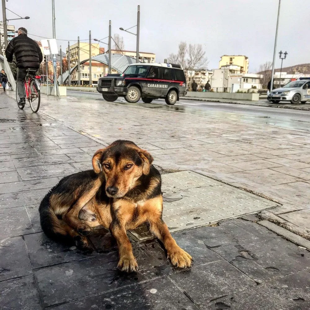 DRBNA NA CESTÁCH: Mitrovica - město rozdělené mostem i národní hrdostí