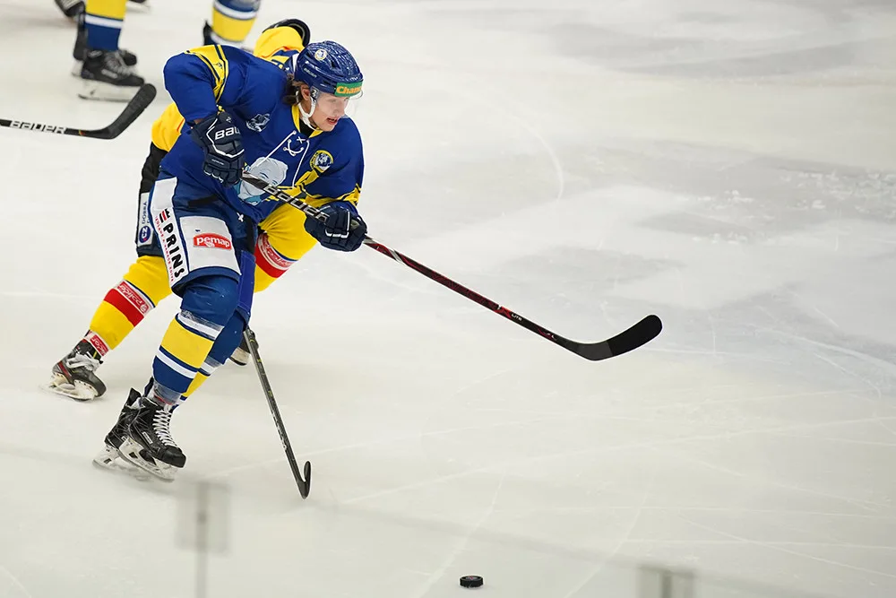 ČEZ Motor České Budějovice vs HC Zubr Přerov