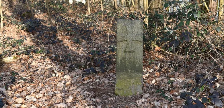 Upoutávka