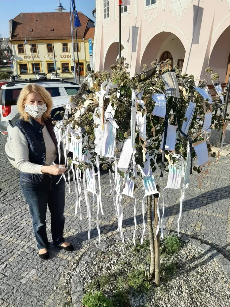 V Týně nad Vltavou vyrostl rouškovník