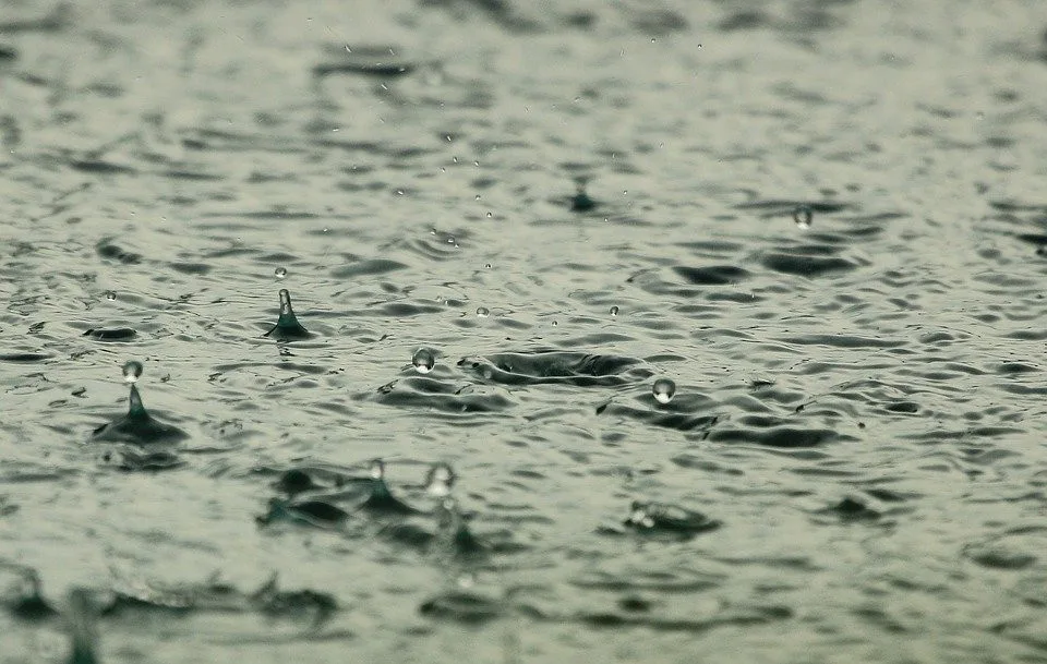 Na svatého Medarda meteorologové čekají deštivé počasí