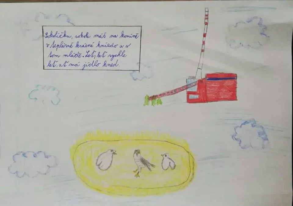sokol Natálie Kadlecová