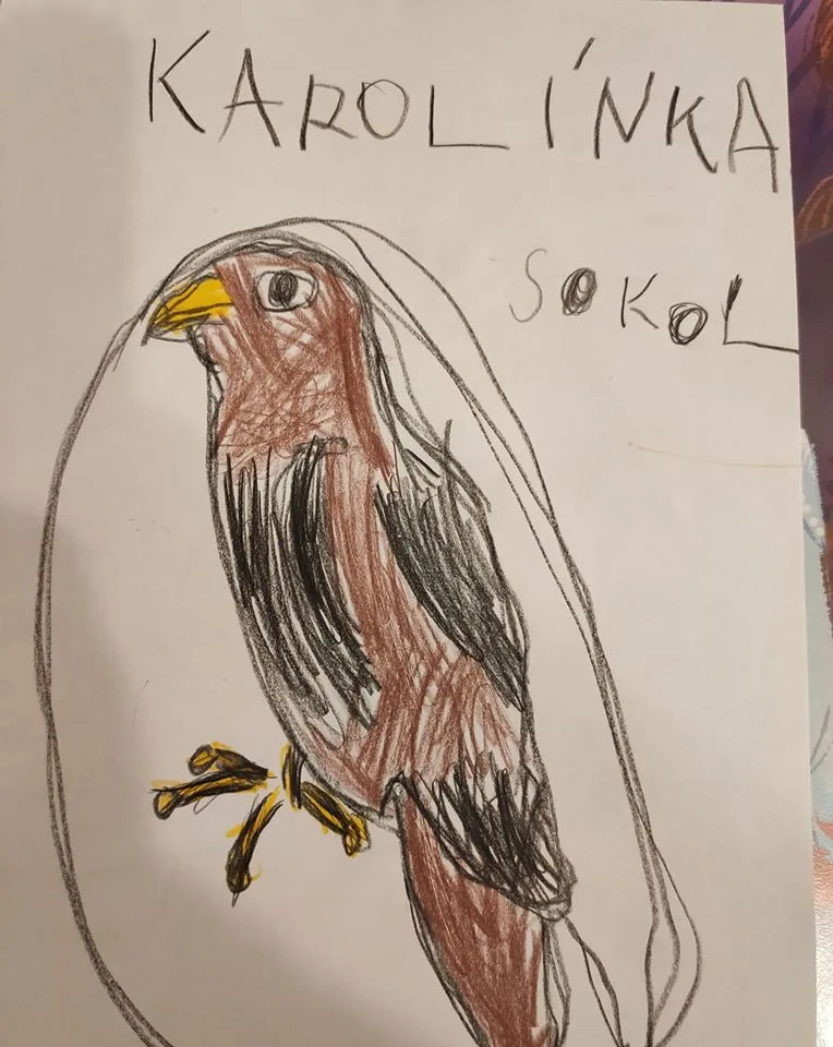 sokol Karolínka Machová