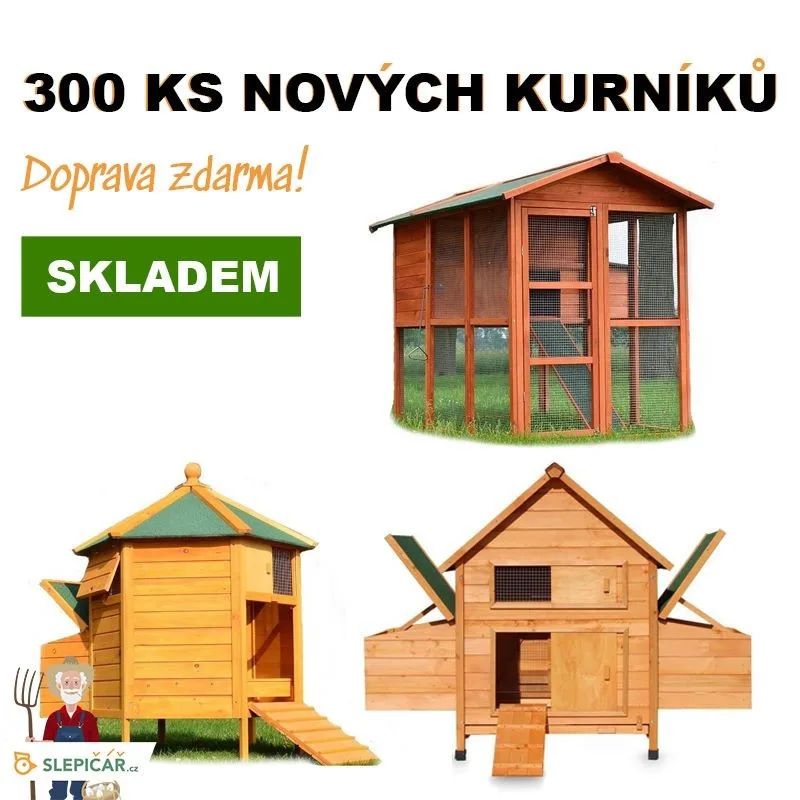 Slepičář: O slepice je stále větší zájem. Lidé chtějí žít zdravě, mít ke snídani domácí vajíčka