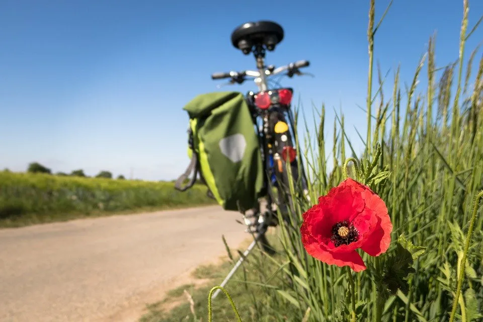 Letošní preference českých turistů budou jiné, ukázal průzkum VŠTE