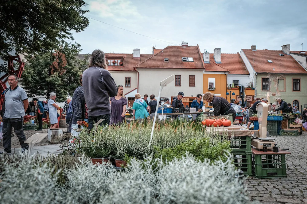 KULTURNÍ TIPY: Letní kina, farmářské trhy nebo jóga. Co podniknout v Budějcích tento týden?