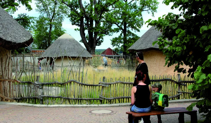 V Zoo Hluboká chystají Netopýří  noc