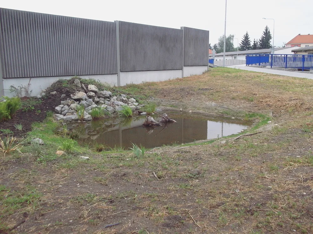 O nevzhlednou plochu u zanádražní komunikace se postaraly dvě dobrovolnice. Místo se změnilo k nepoznání