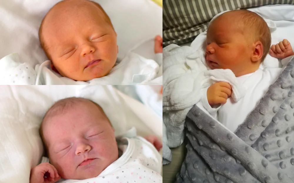 SOUTĚŽ: Hlasujte pro drbňátko srpna