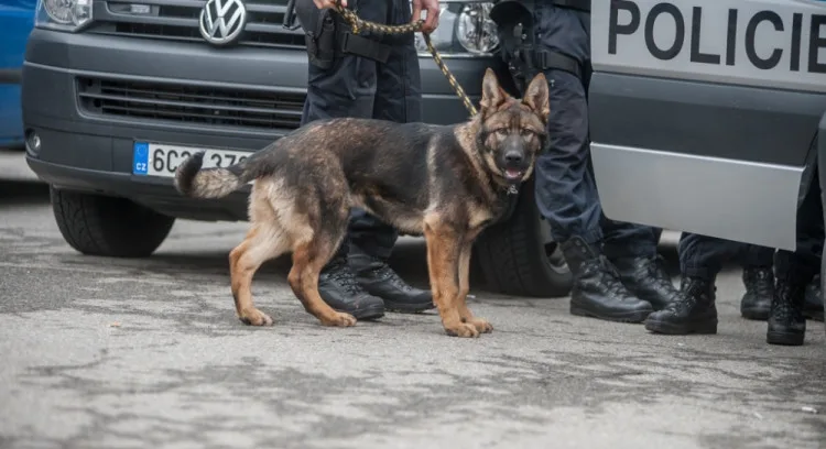 ilustrační foto.