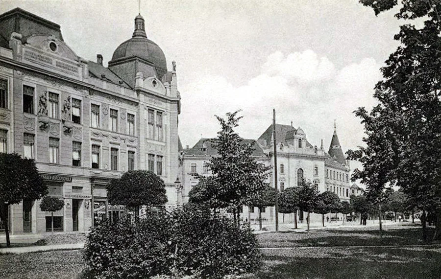 DRBNA HISTORIČKA: