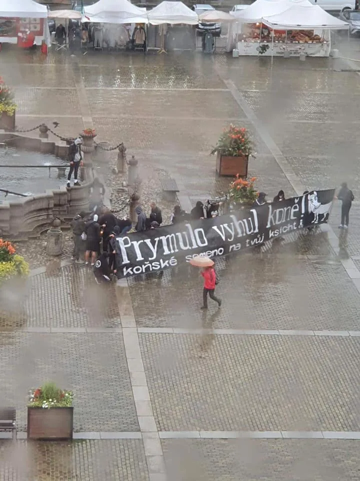 Prymulo vyhul koně. Fanoušci Dynama protestovali proti vládním opatřením.