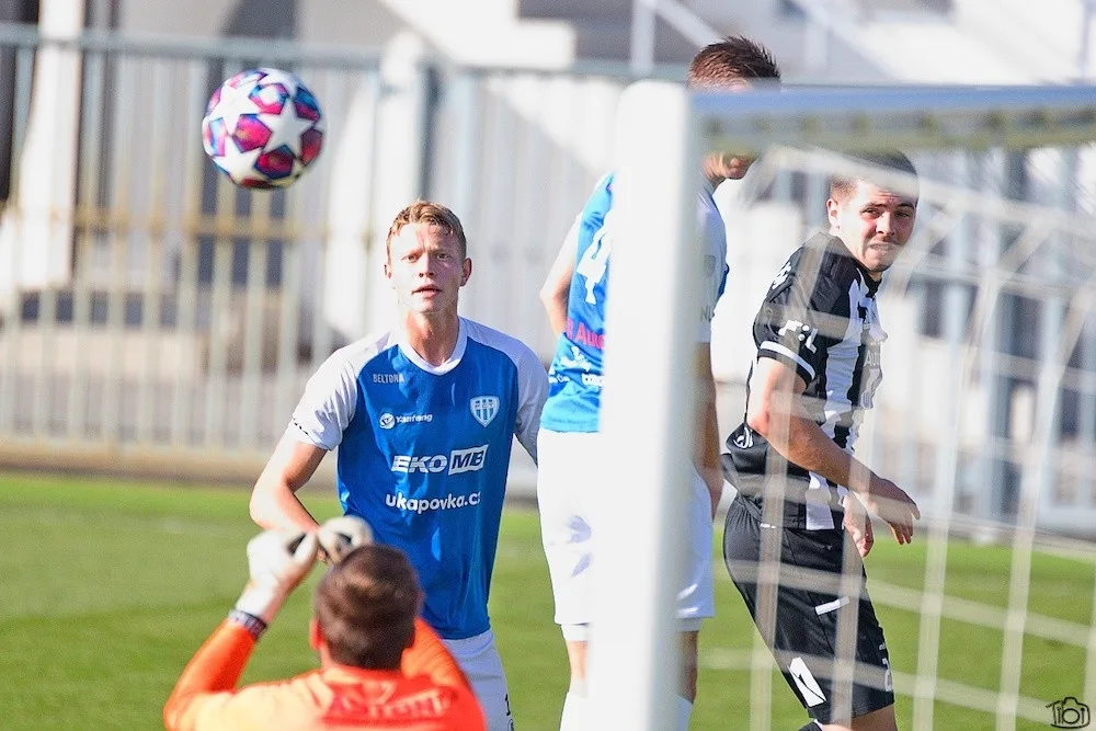 Dynamo si v přípravě poradilo s Táborskem