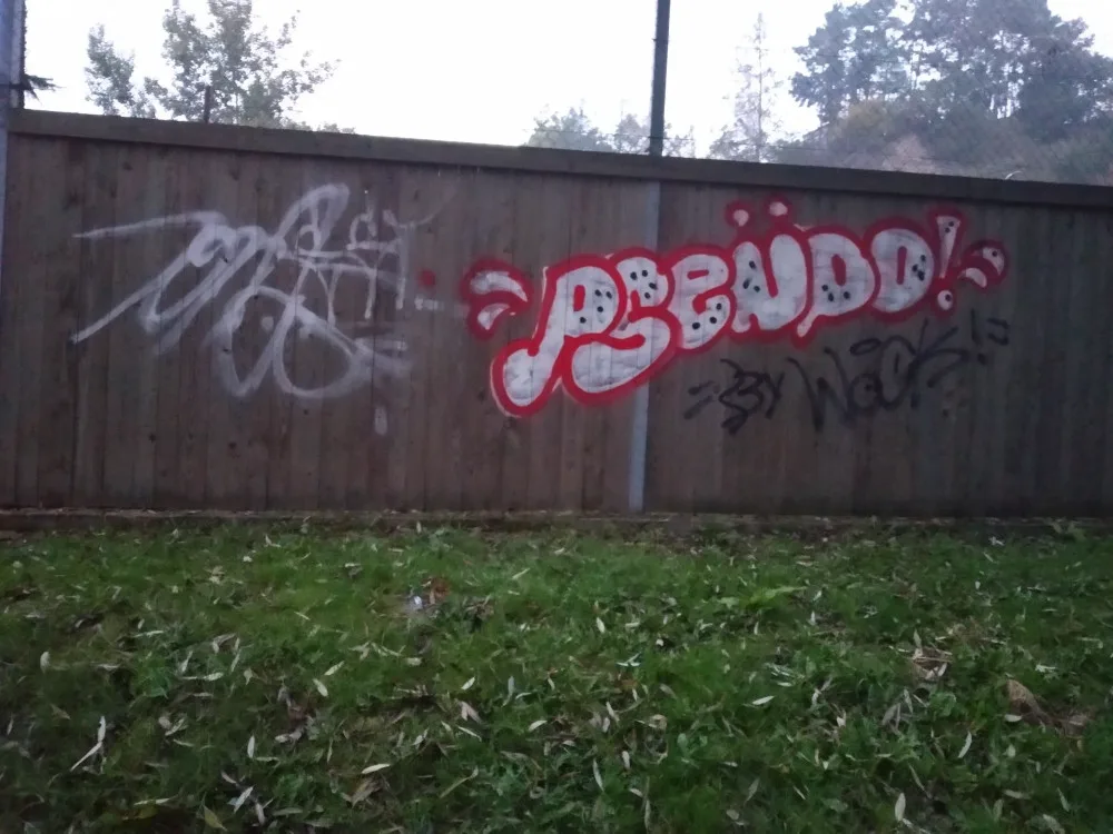 Zeď útulku posprejoval neznámý vandal. Dobrovolník malbu překreslil