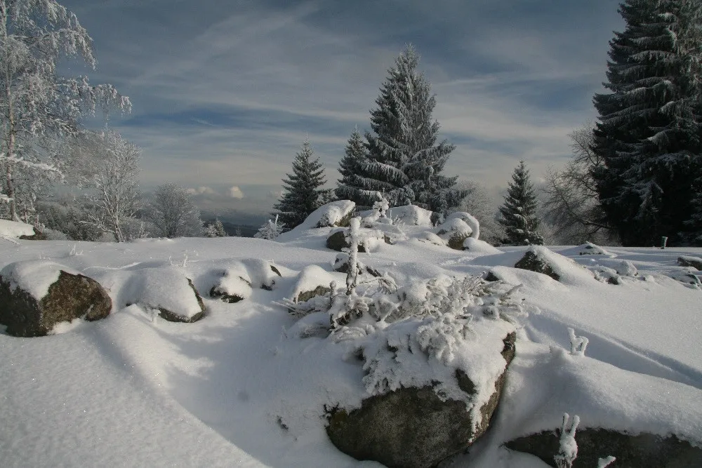 Příroda nejde naplánovat, říká ředitel Národního parku Šumava