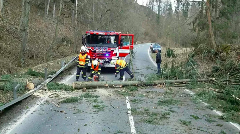 ilustrační foto.