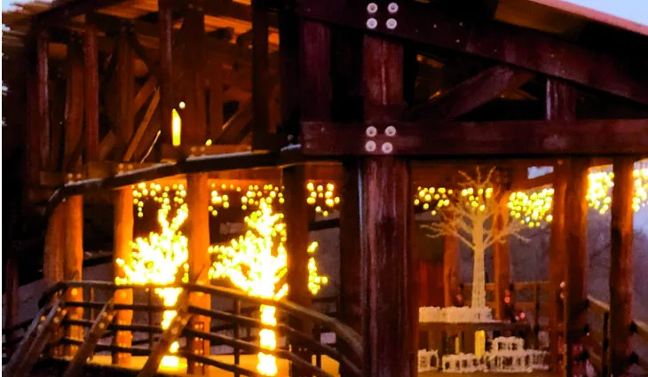 V Nasvícené zoo se objeví velký ježek