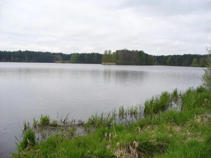 Třeboňští zastupitelé odmítli prodej dvou rybníků v majetku města.