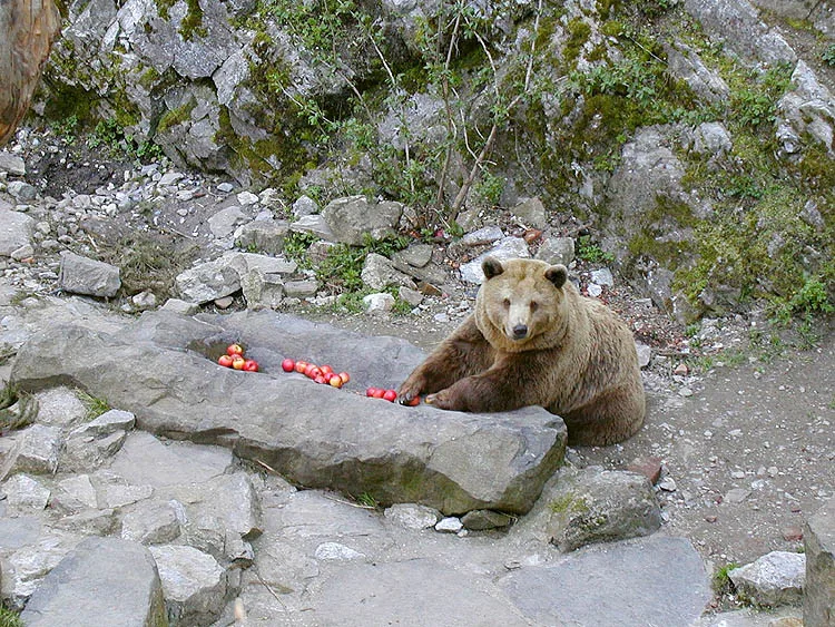 ilustrační foto.