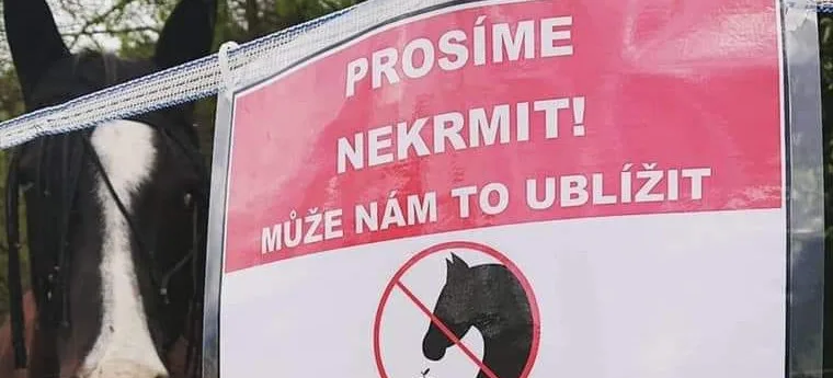 ilustrační foto.