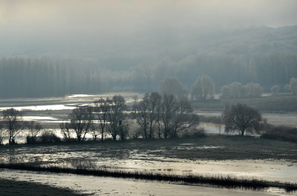 ilustrační foto.