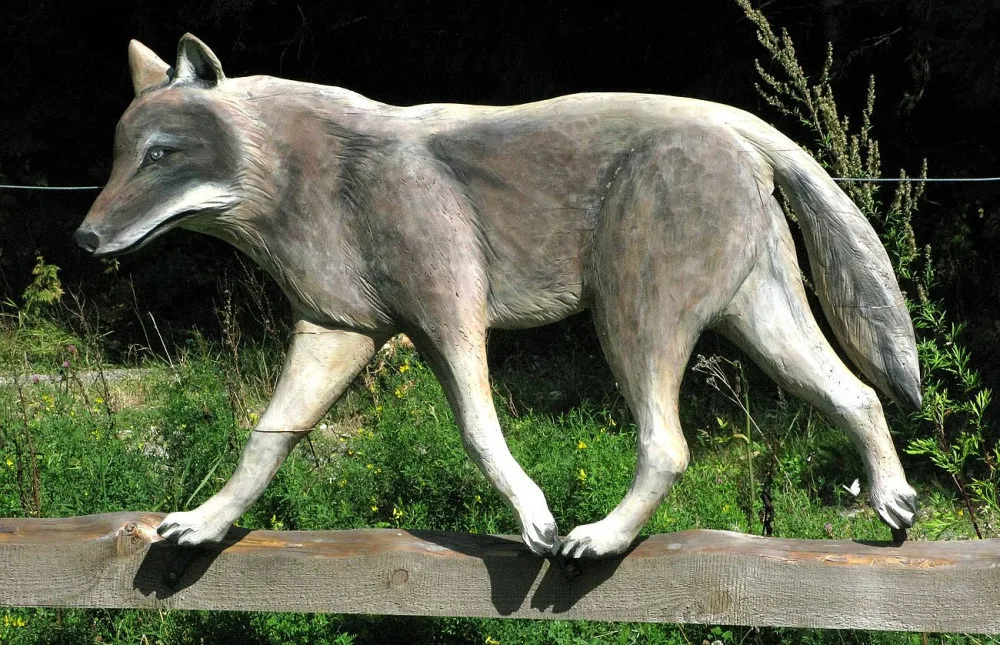 Zmizel i tento vlk.