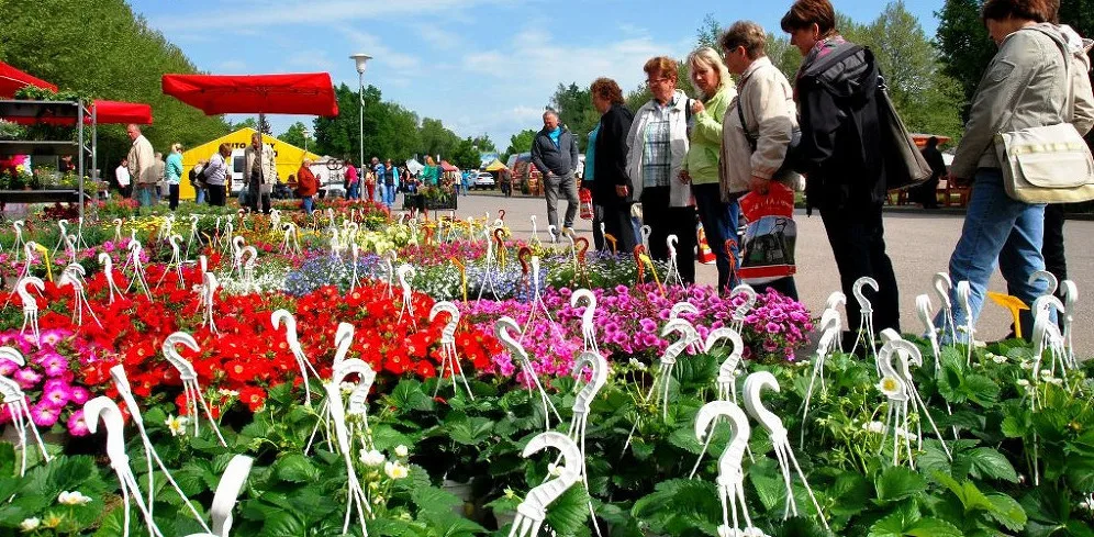 Záhrádkáři a kutilové se letos Hobby nedočkají. Agrosalon se zatím stále připravuje