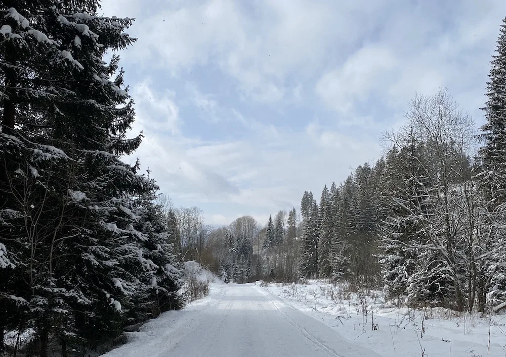 Na šumavských vrcholcích je nejvíc sněhu z celé zimy. Dlouho ale nevydrží, přijít má obleva