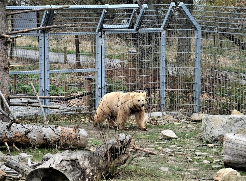 Jihočeská zoologická zahrada v Hluboké nad Vltavou má opět otevřeno