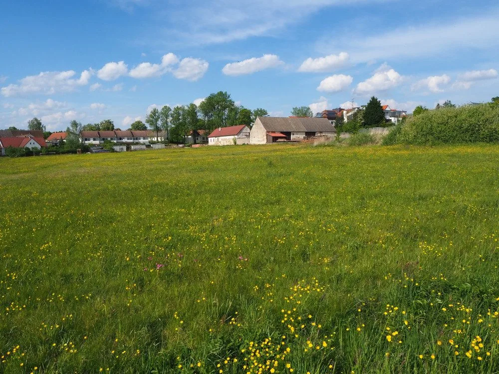 Stát chce prodat usedlost, která patřila Emě Destinnové. Do aukce půjde také rekreační areál nebo most