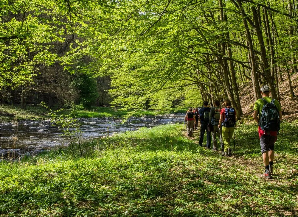 Klub českých turistů udržuje přes 43 tisíc kilometrů pěších tras po celém Česku