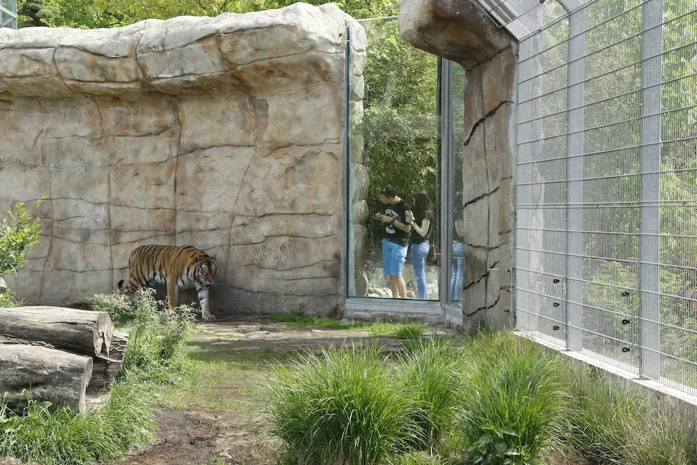 Zoo Hluboka nad Vltavou